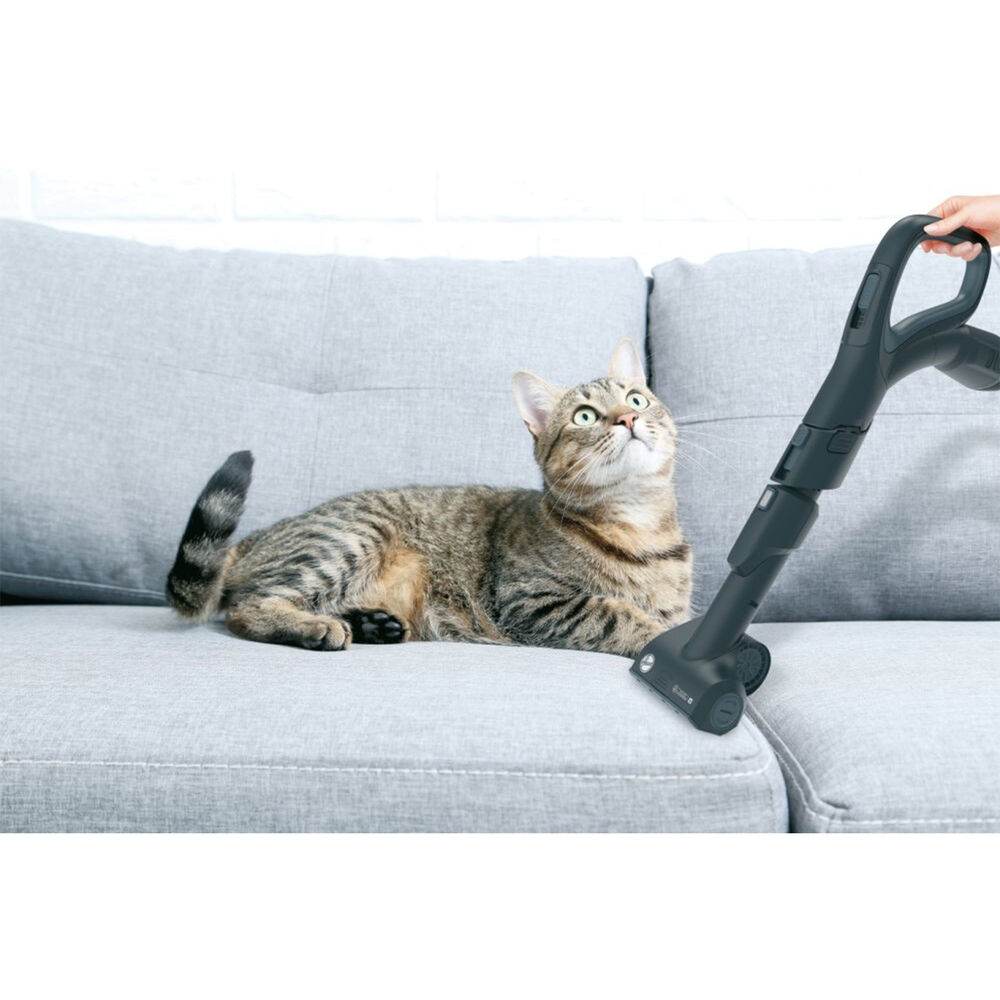 HP720PET 011, image number 19