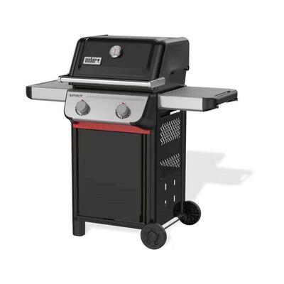 Spirit E-210 Spirit E-210