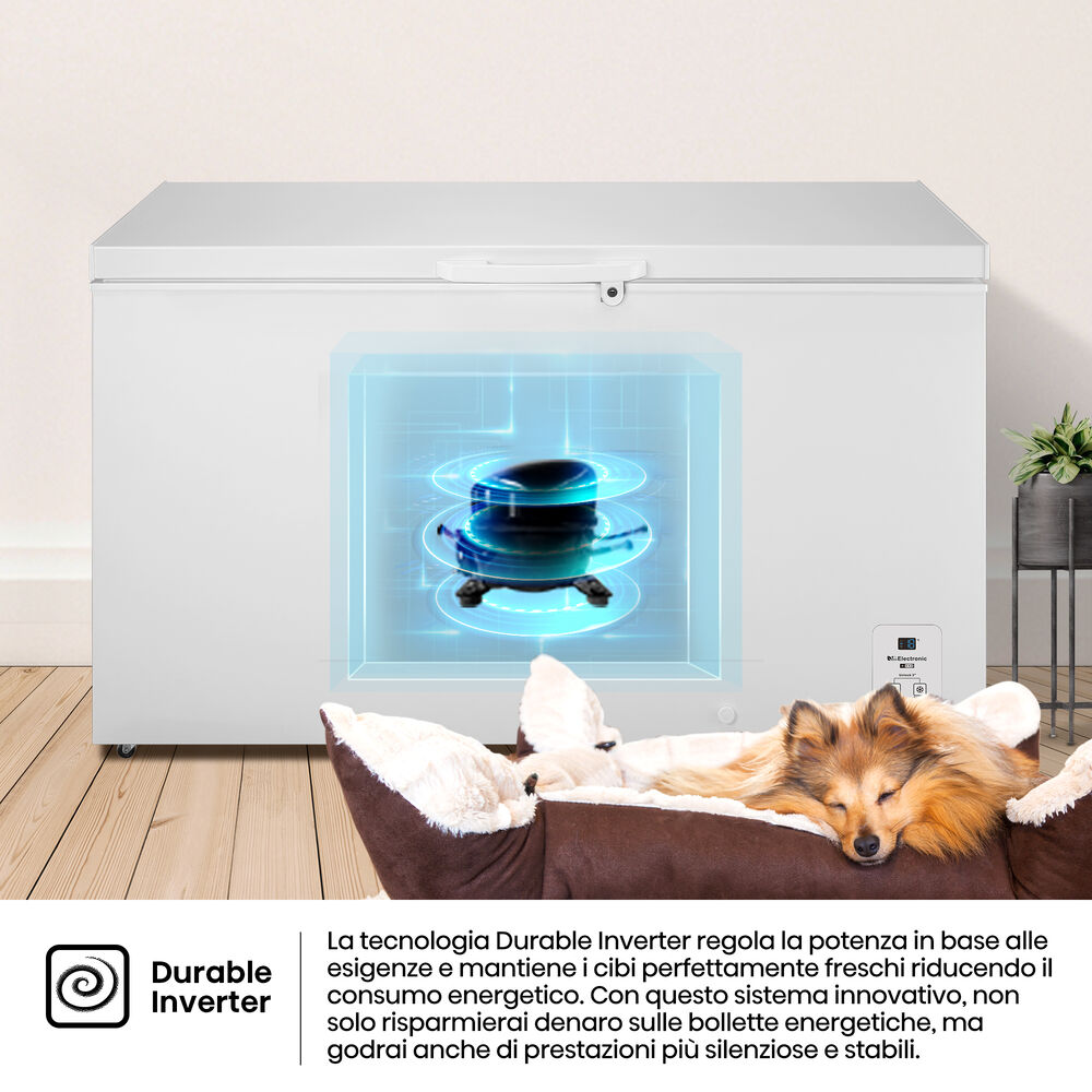 FT546D4AWLYE, image number 12