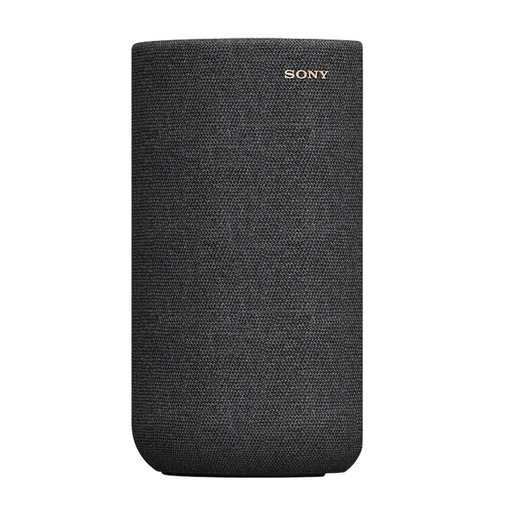 SARS5, image number 4