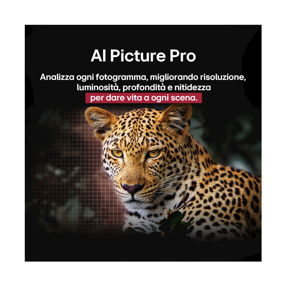 OLED AI B5 OLED77B56LA, image number 21