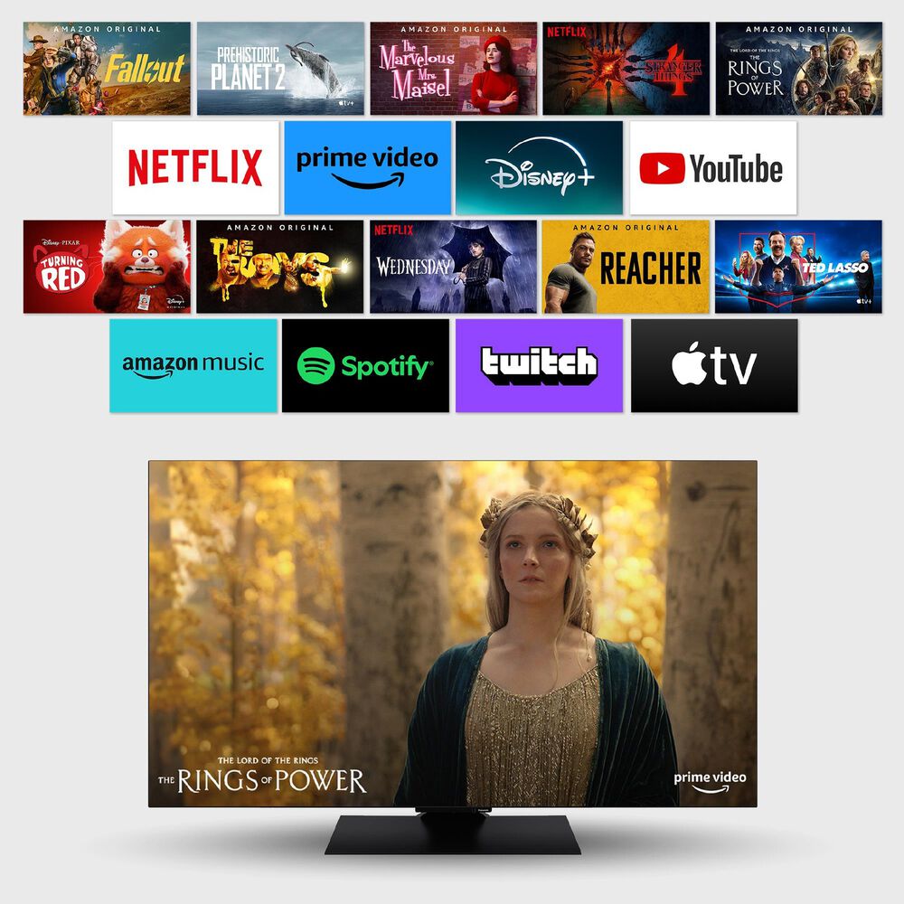 TV-55Z80AEZ, image number 12