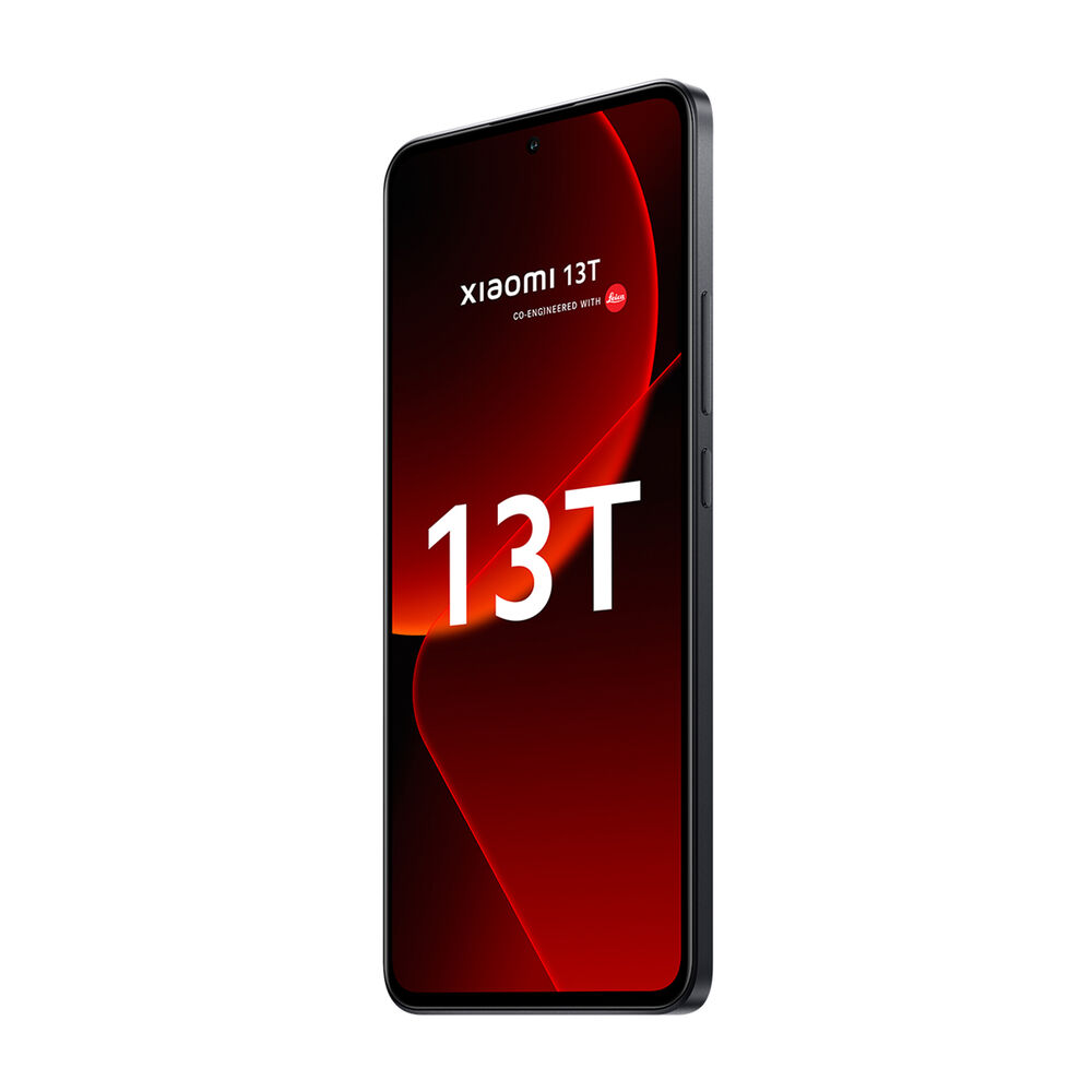 13T, image number 3
