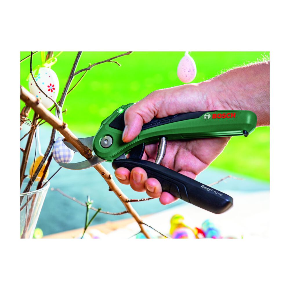 Easy Prune, image number 10
