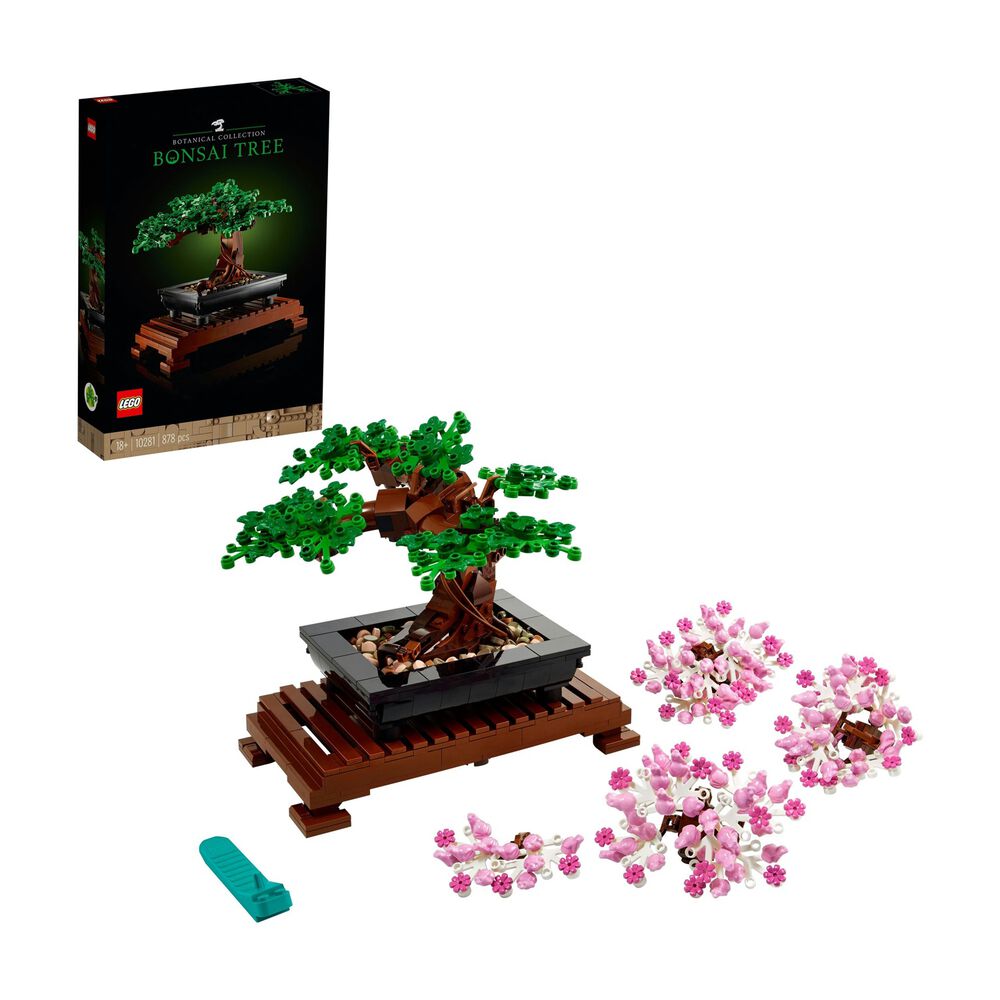 Albero Bonsai, image number 0