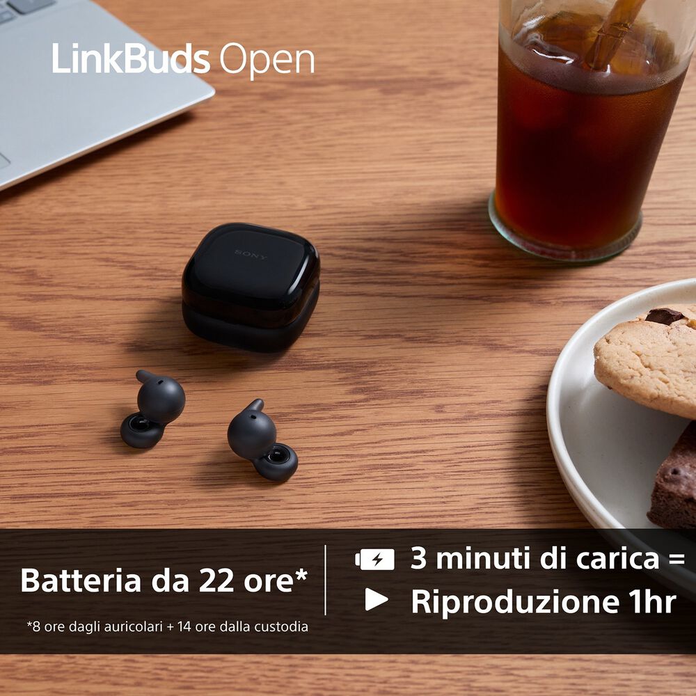 LINKBUDS OPEN WFL910W, image number 10