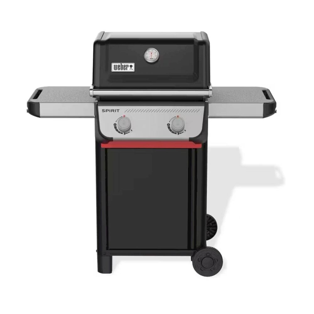 Spirit E-210, image number 1