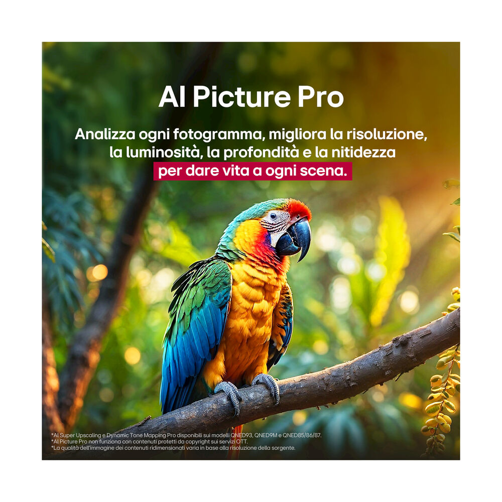 QNED evo AI  65QNED93A6A, image number 19