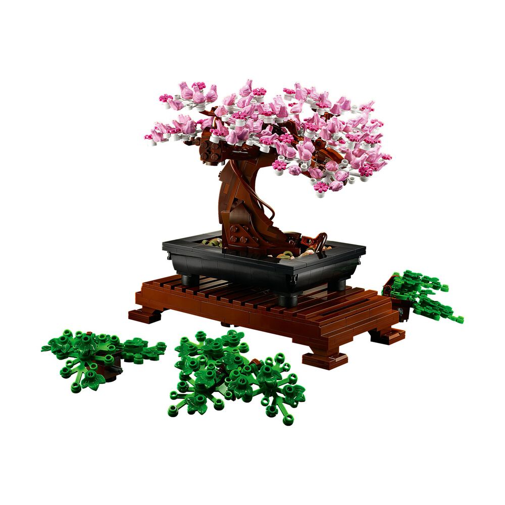 Albero Bonsai, image number 1