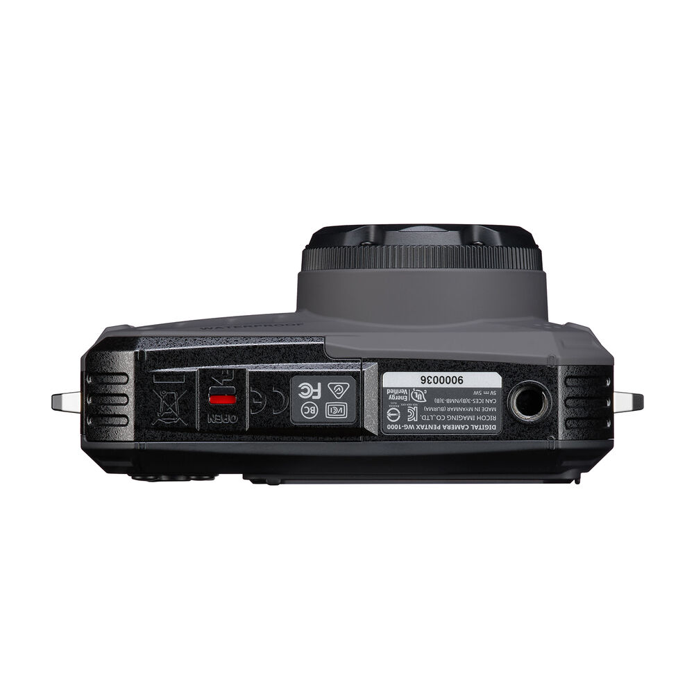 WG1000, image number 5