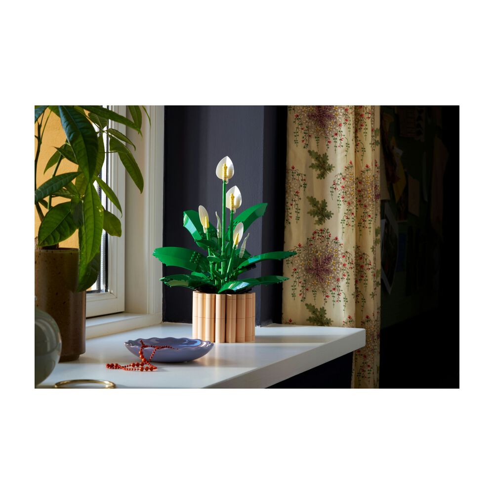 Spatifillo, image number 6