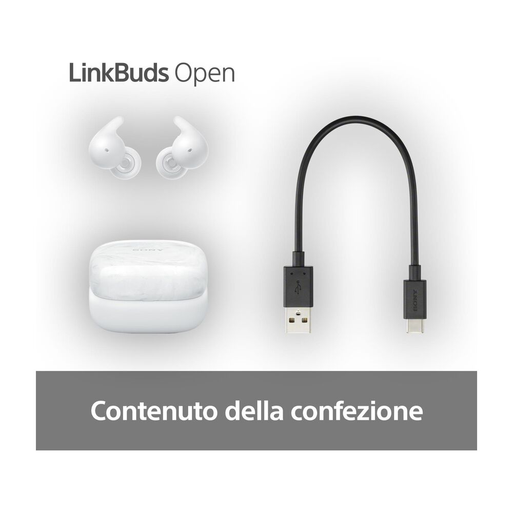 LINKBUDS OPEN WFL910W, image number 14