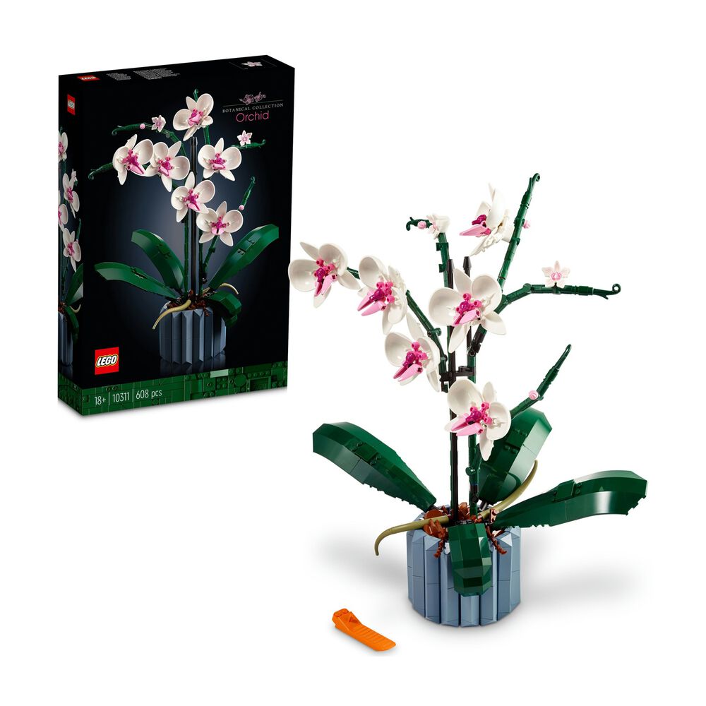 Orchidea, image number 0