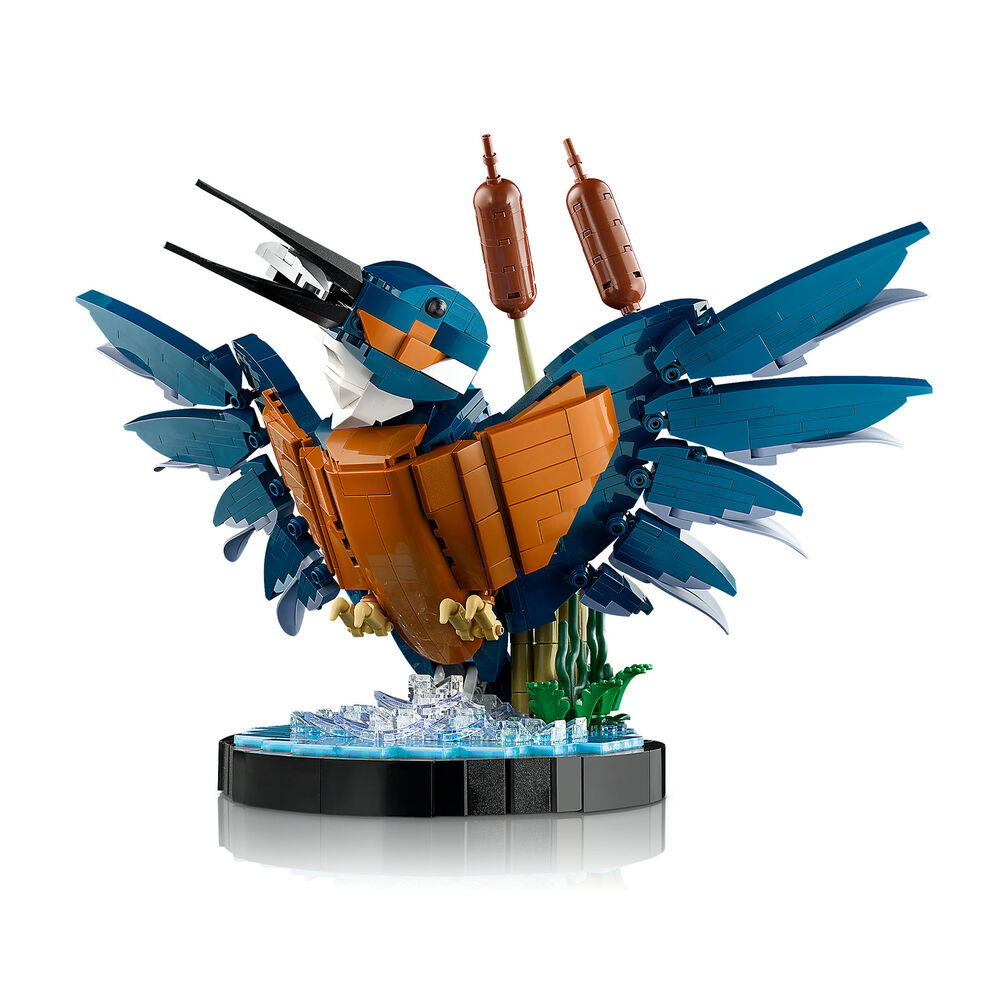 Martin Pescatore, image number 0