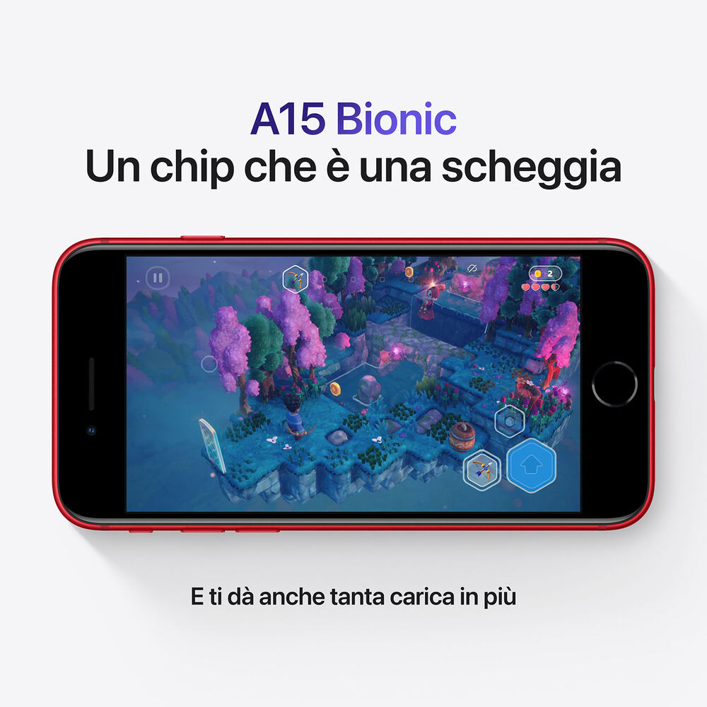 IPH.SE 2022 ECCELLENTE, image number 13