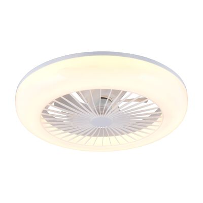 MORA LED