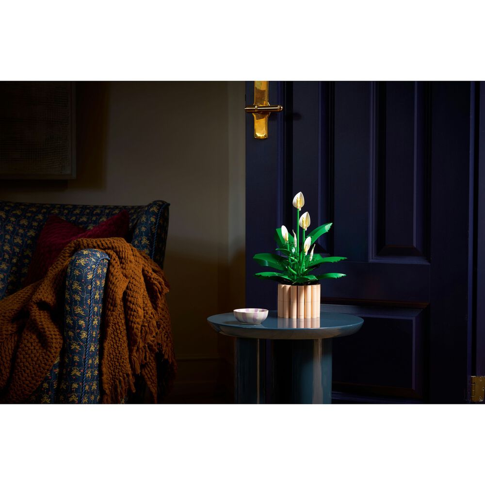 Spatifillo, image number 4