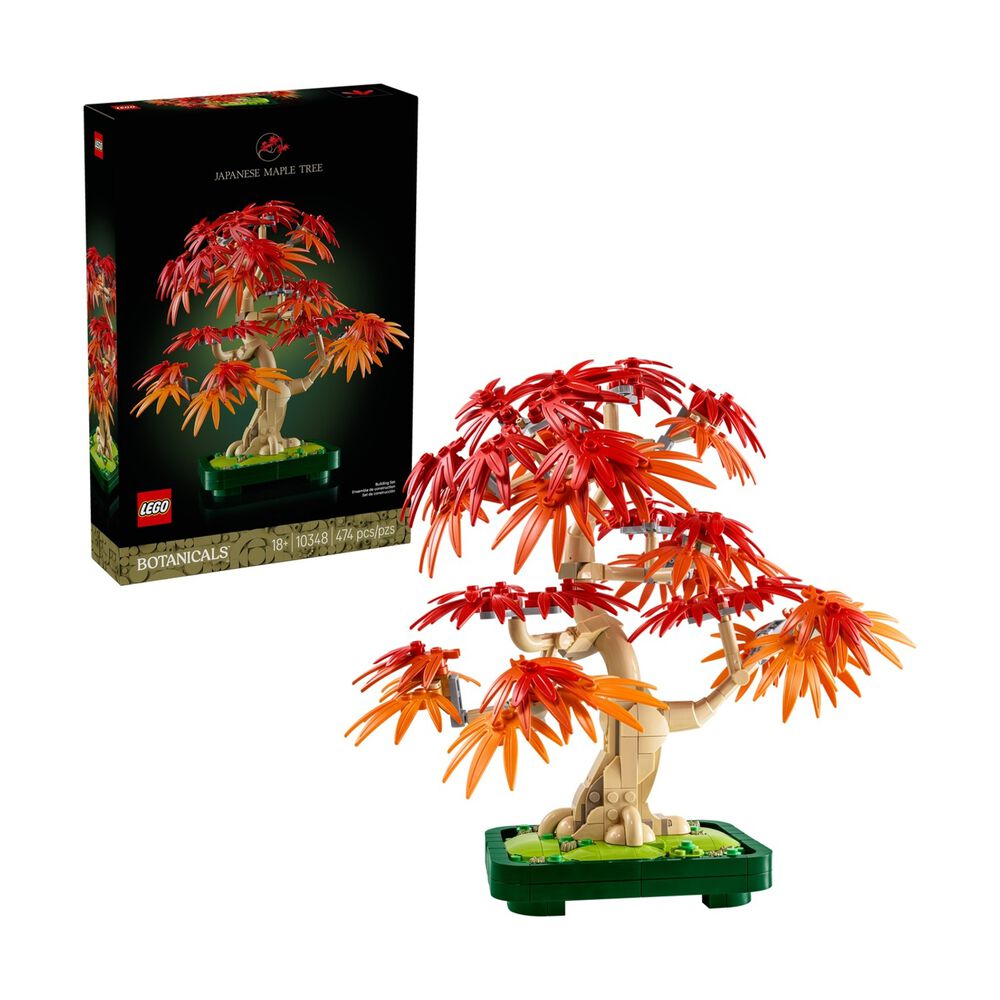 Bonsai di acero rosso, image number 2