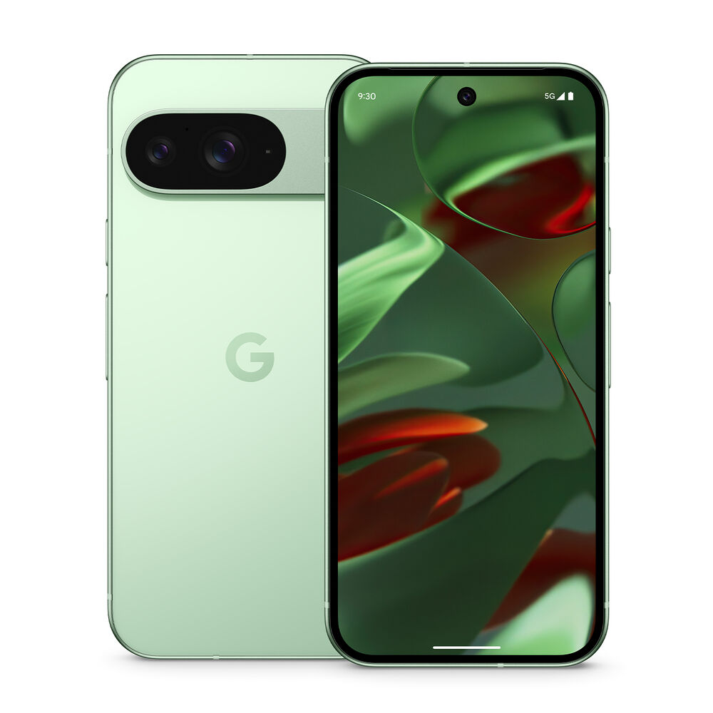 Pixel 9 256GB, image number 0