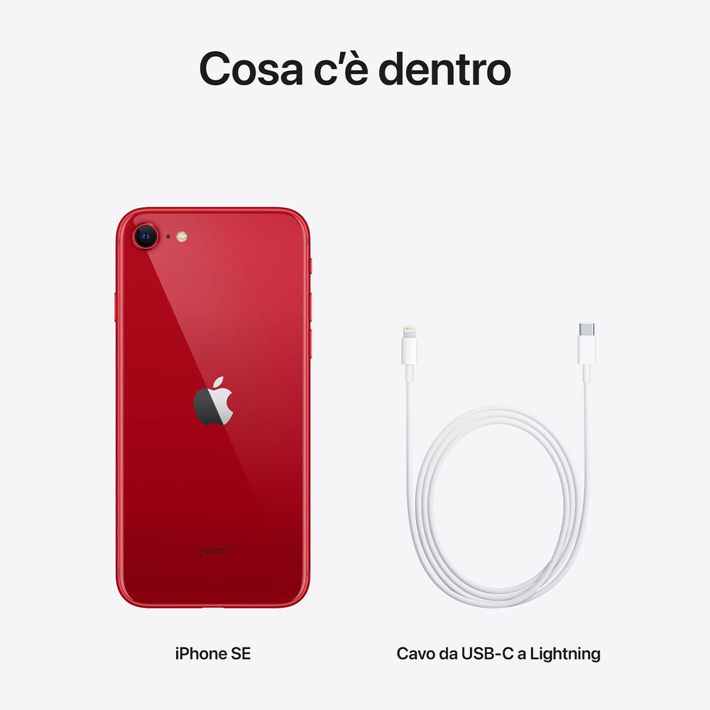 IPH.SE 2022 ECCELLENTE, image number 7