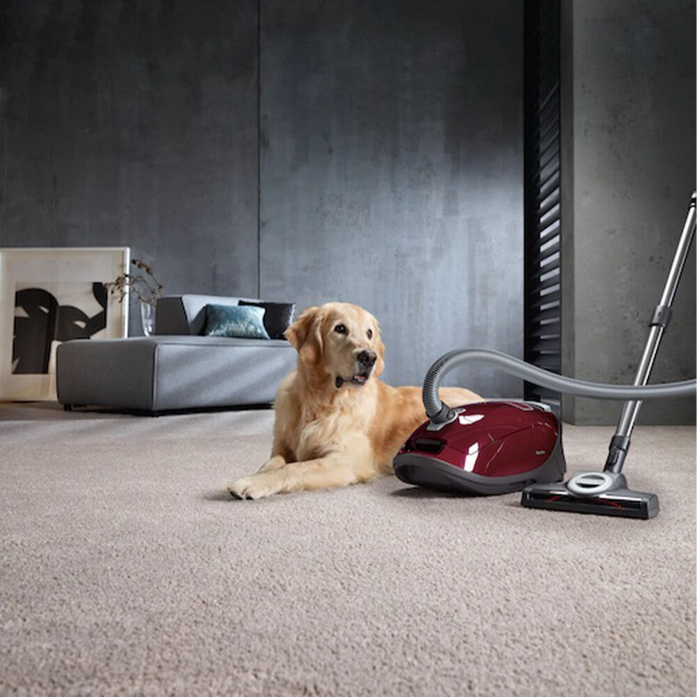 Complete C3 Cat&Dog , image number 4