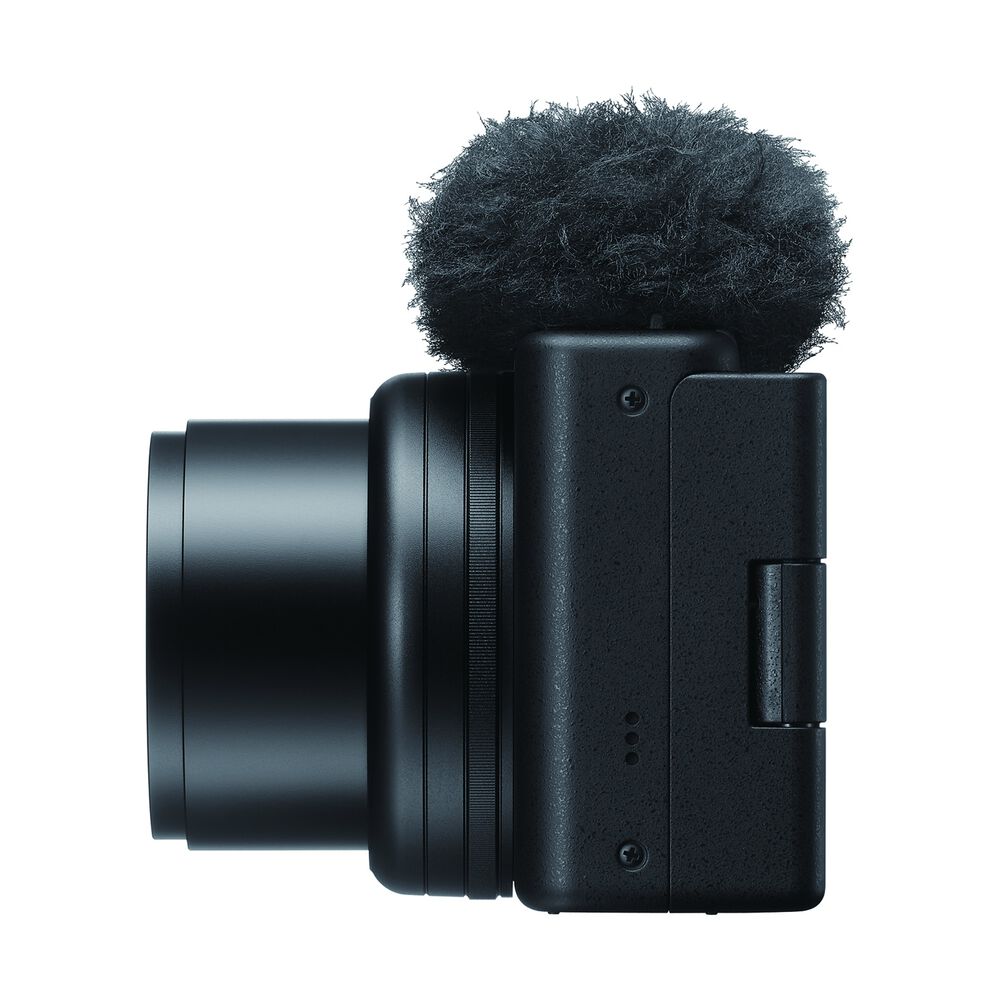 ZV1M2BDI, image number 10