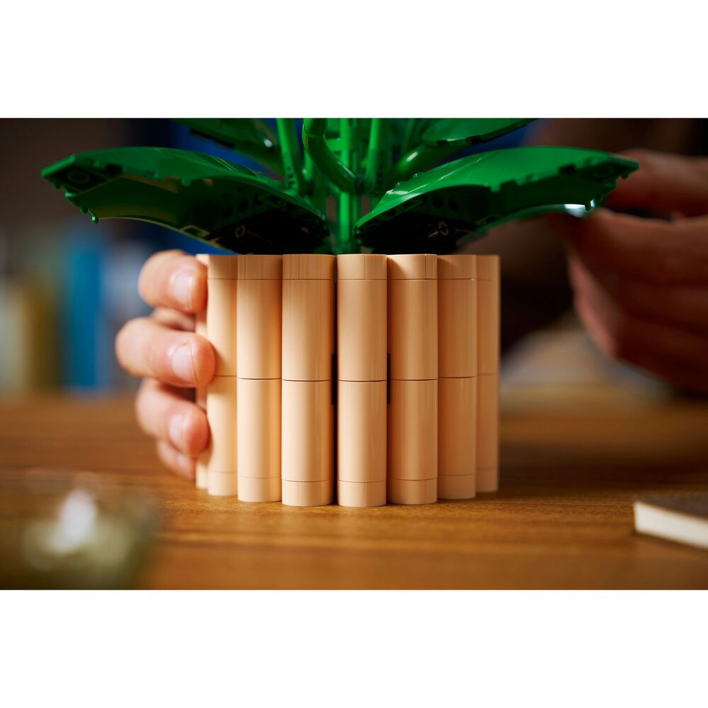 Spatifillo, image number 16