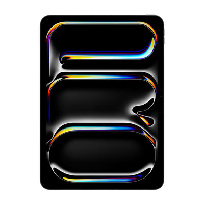 IPAD PRO 11 WF CL 256GB