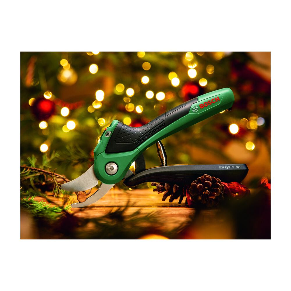 Easy Prune, image number 8