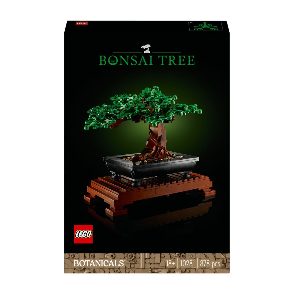 Albero Bonsai, image number 3