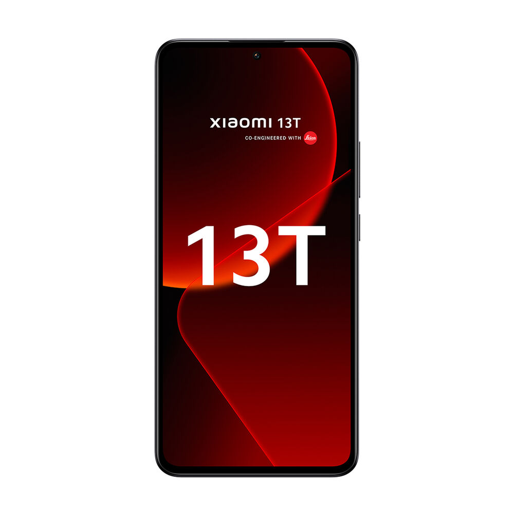 13T, image number 0