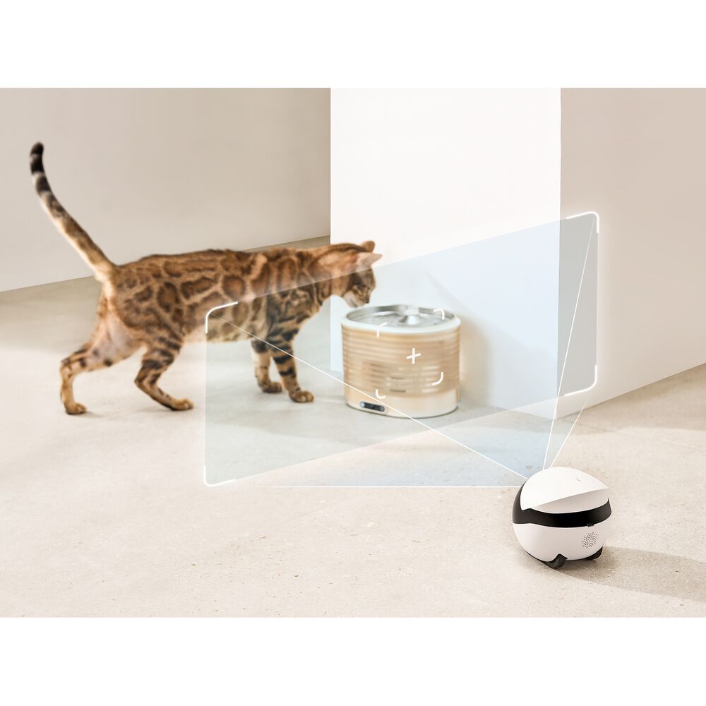 Rola wireless, image number 6