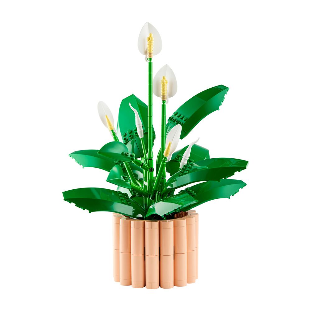 Spatifillo, image number 0