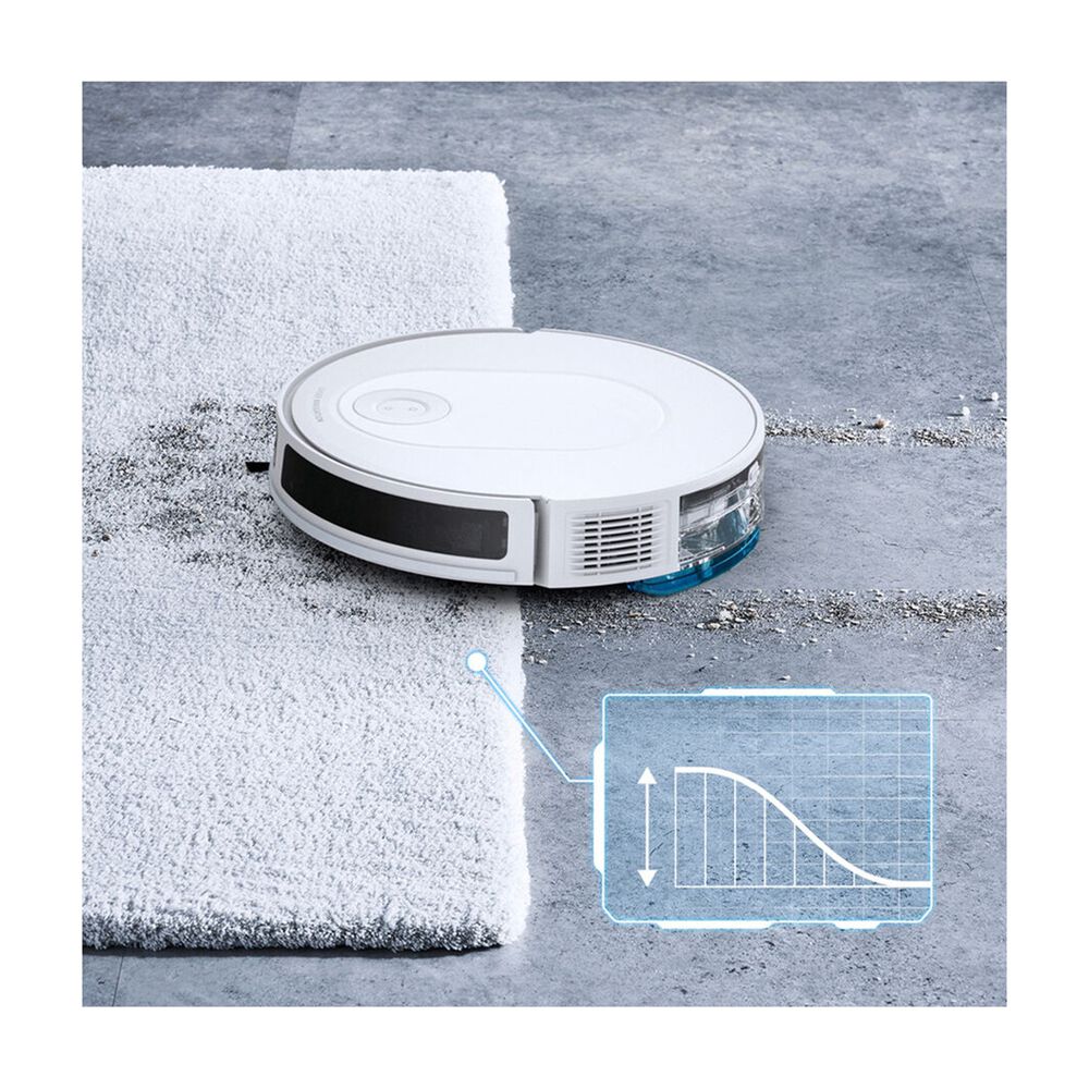 RR8477, image number 5