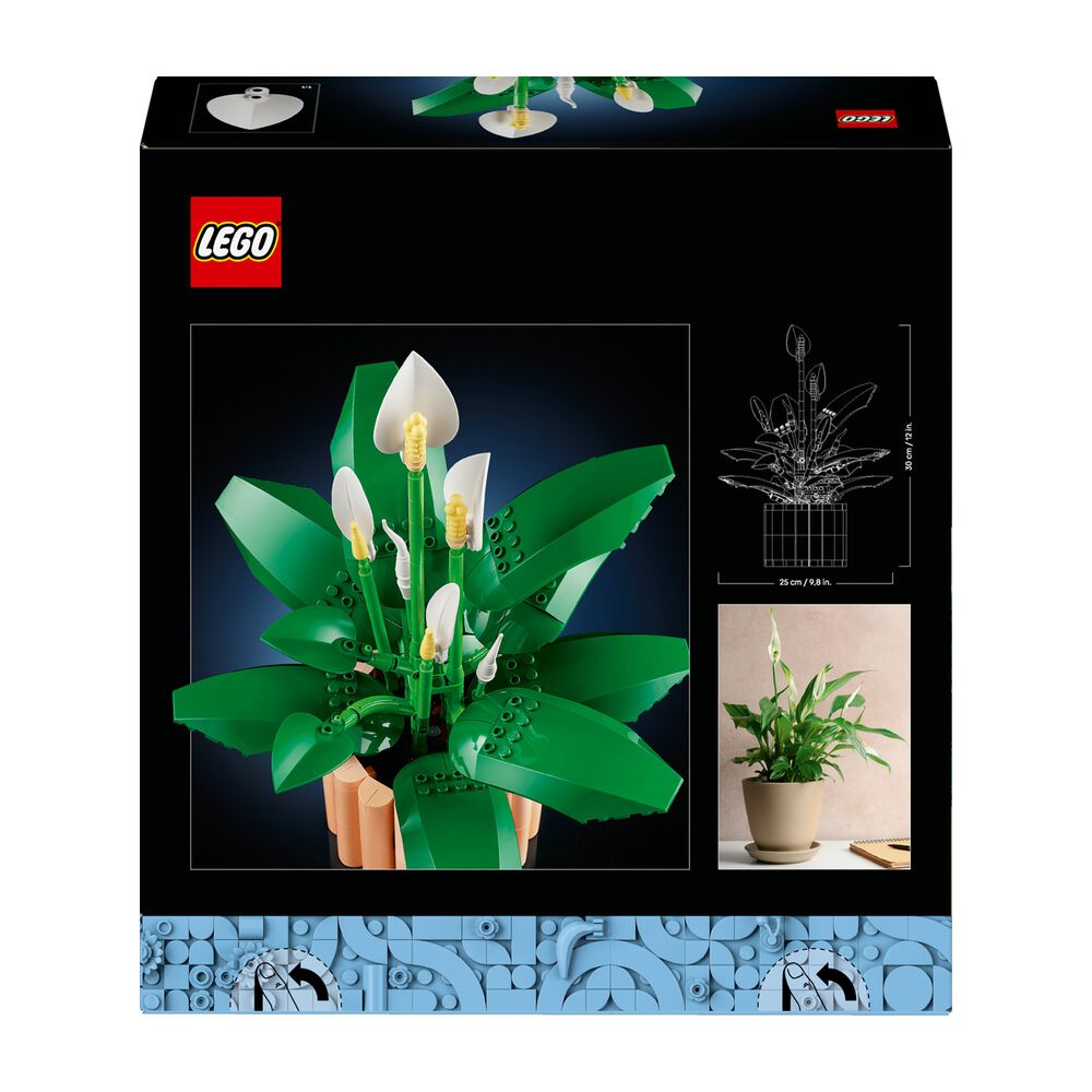 Spatifillo, image number 9