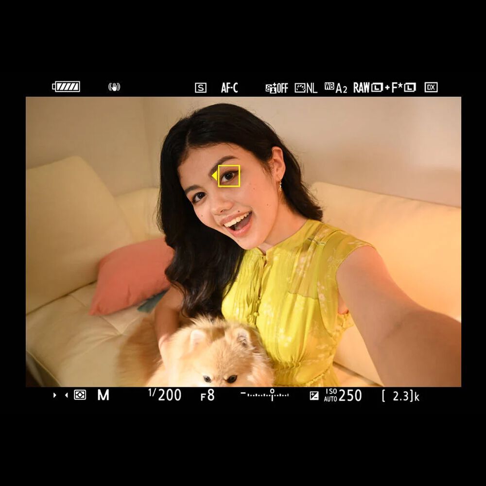 Z30+Z DX 16-50VR, image number 8