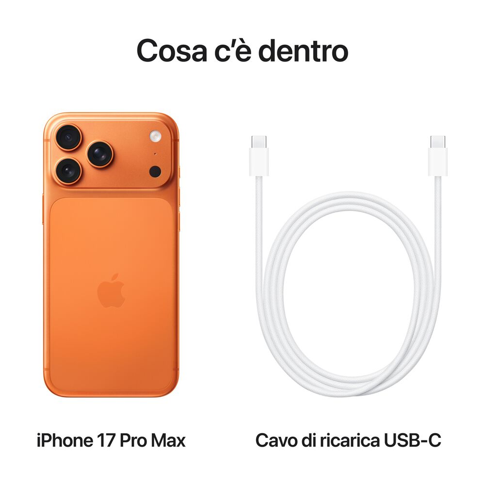 iPhone 17 Pro Max 1TB , image number 9