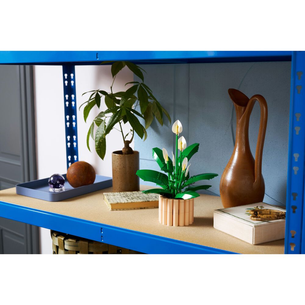 Spatifillo, image number 7