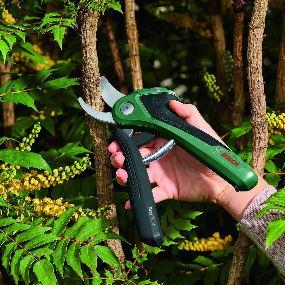Easy Prune, image number 9