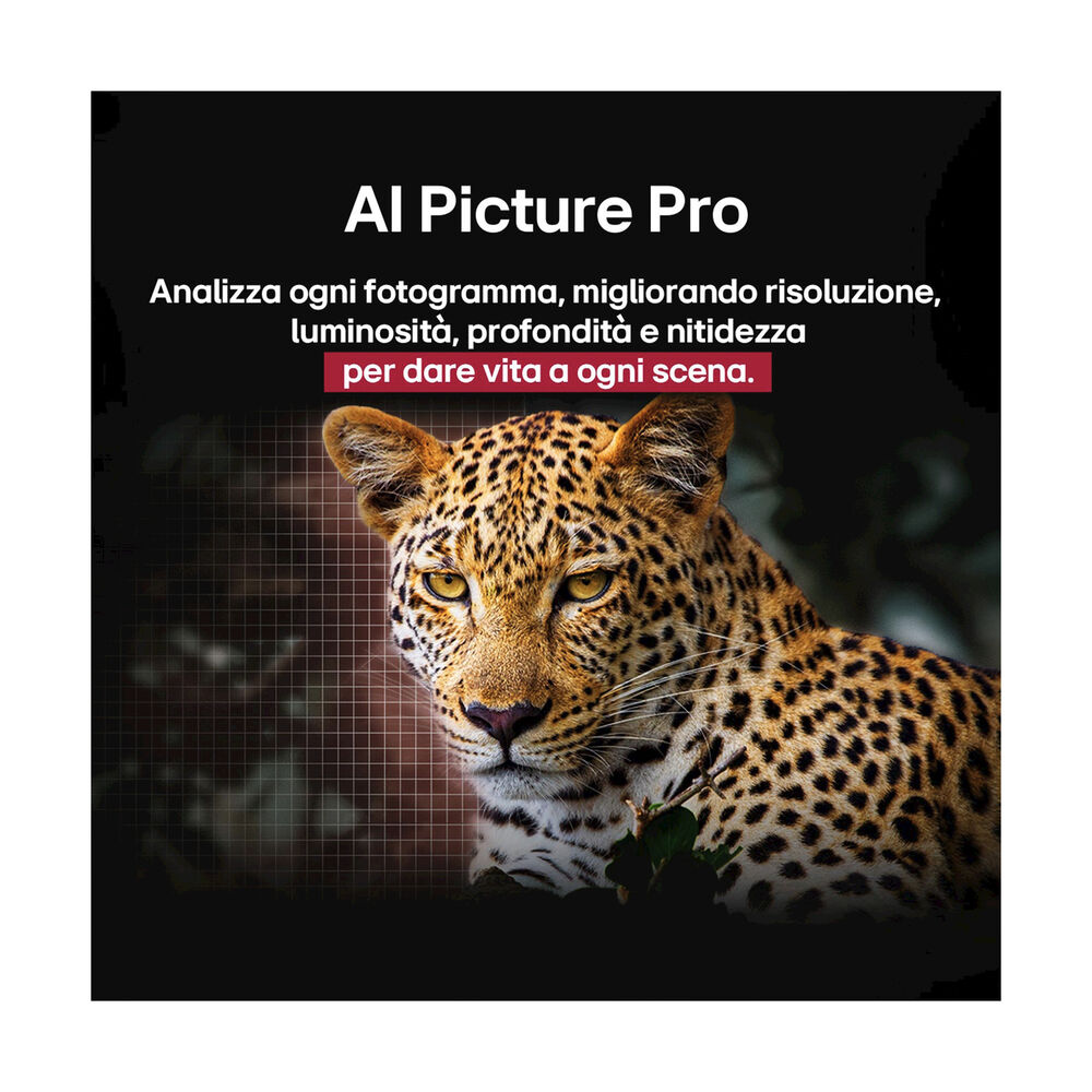 OLED AI B5 OLED48B56LA, image number 21