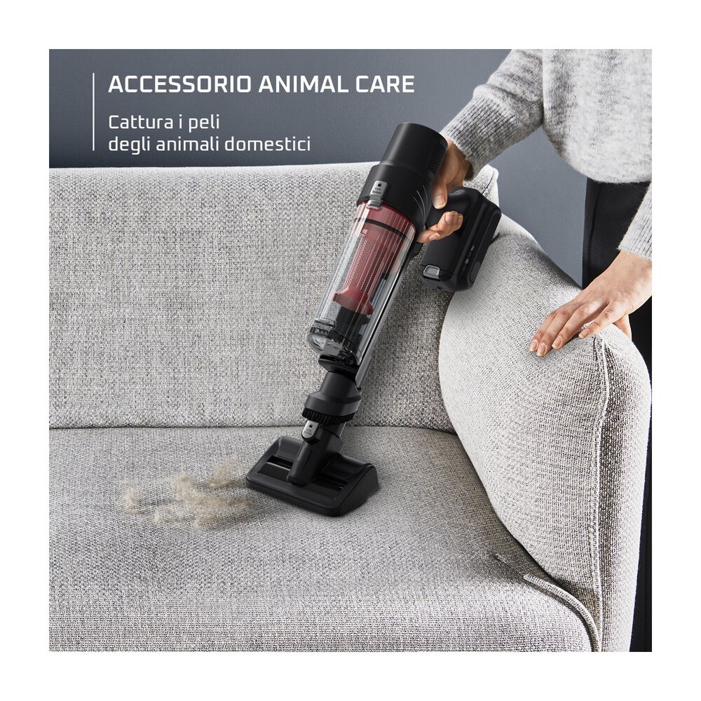 RH6A71, image number 5