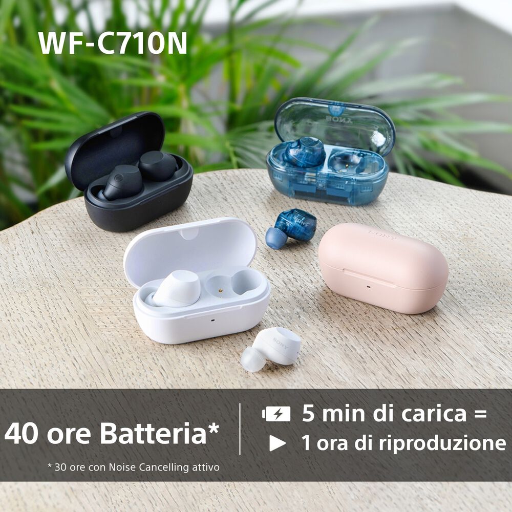 WF-C710N, image number 14