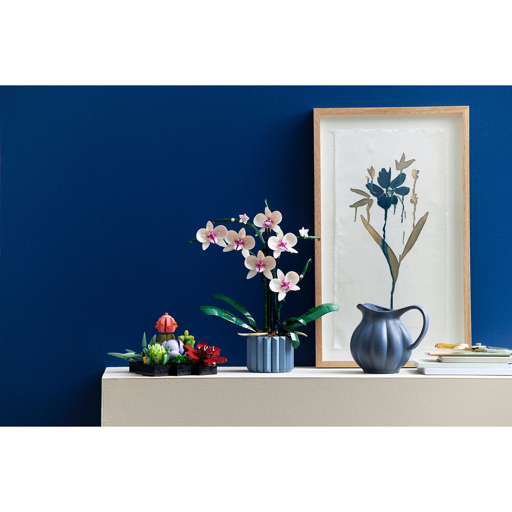 Orchidea, image number 2
