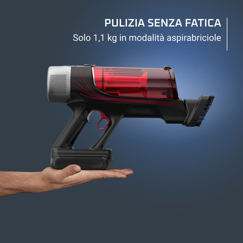 RH2087, image number 6