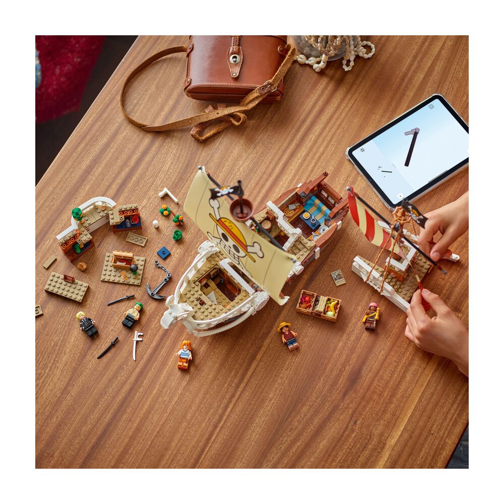 Nave pirata Going Merry, image number 17