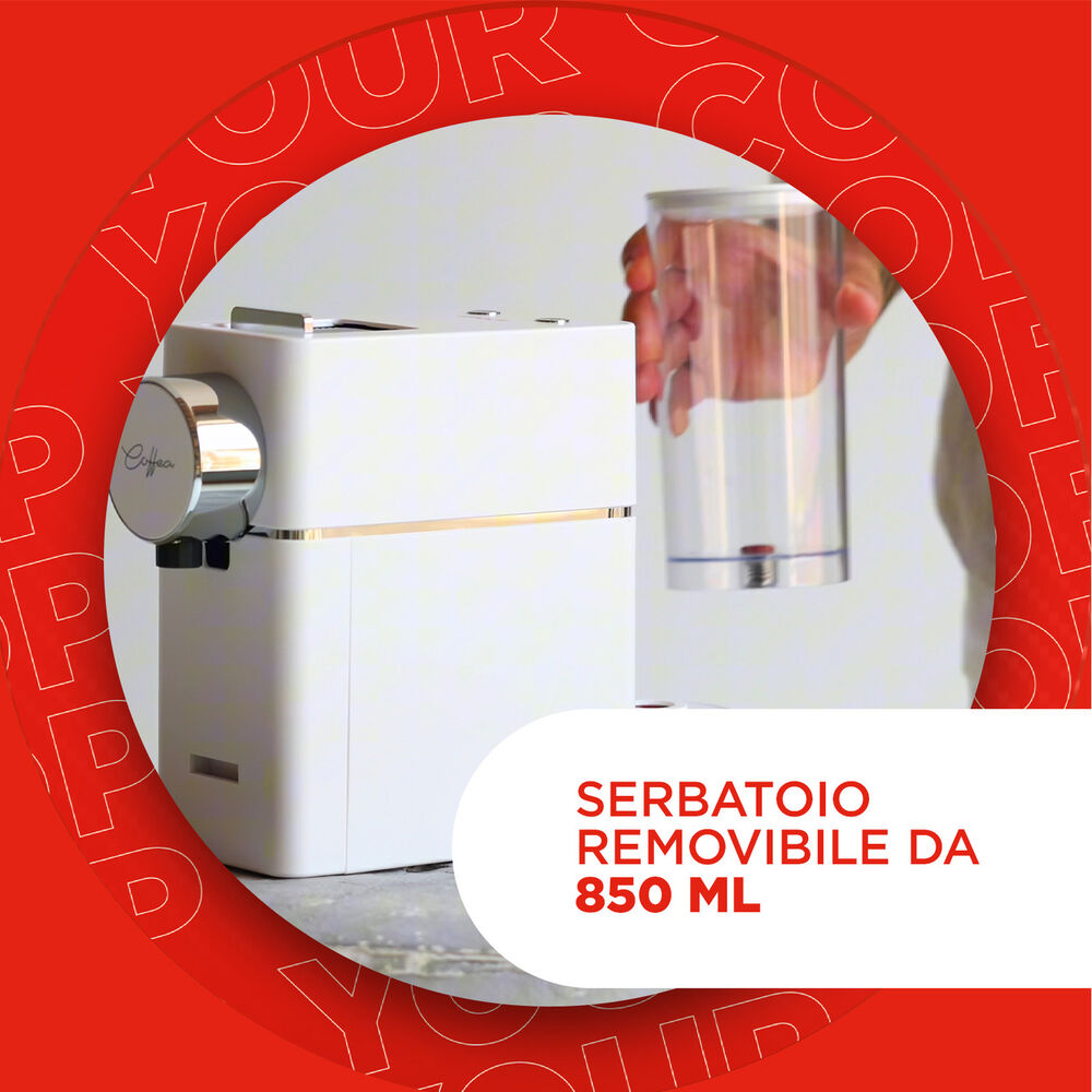 Coffea S18W, image number 5