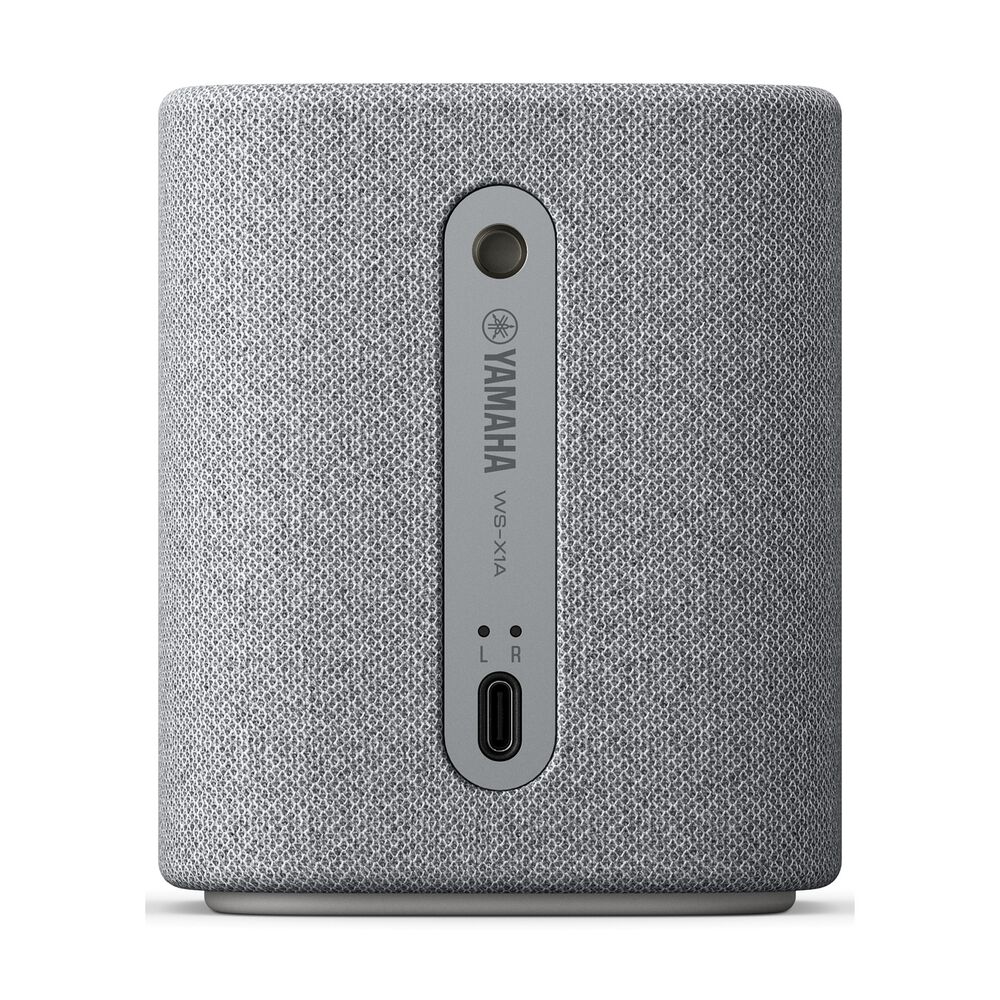 WS-X1ALGY, image number 0