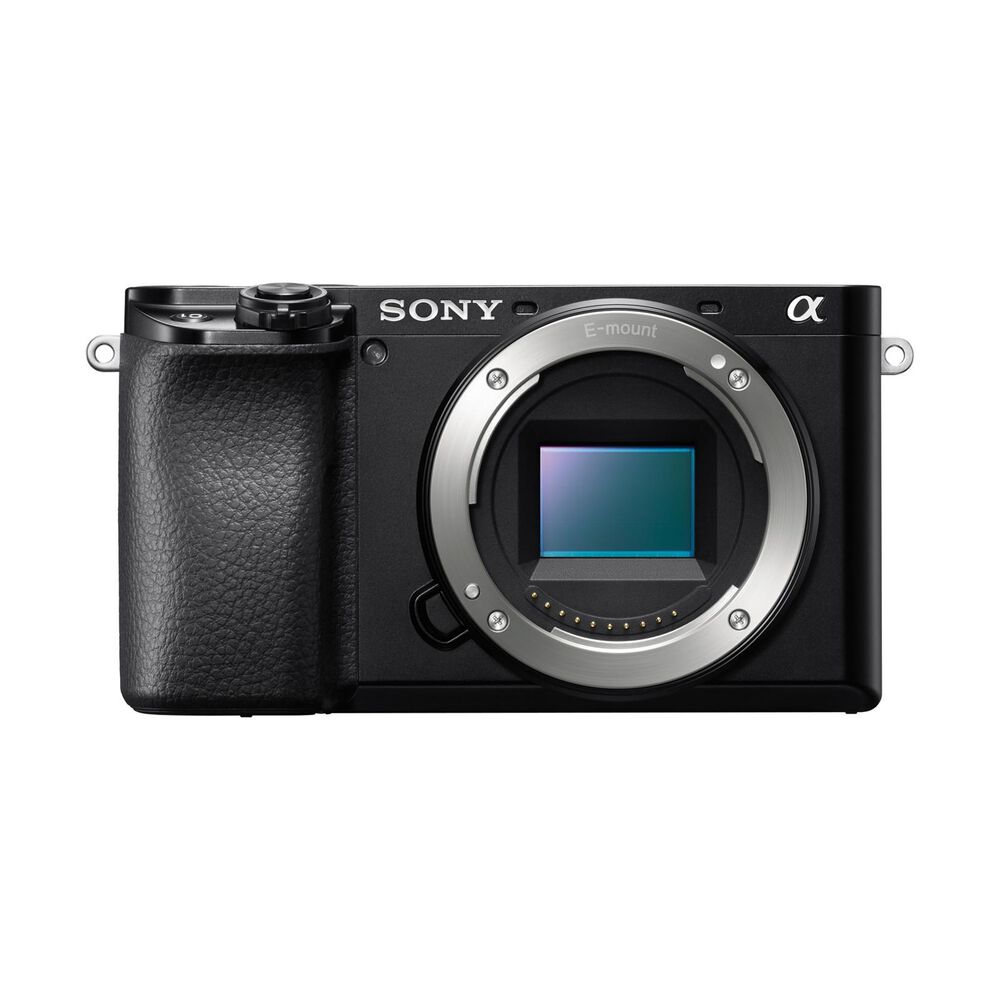 ALPHA 6100 +16-50mm, image number 9
