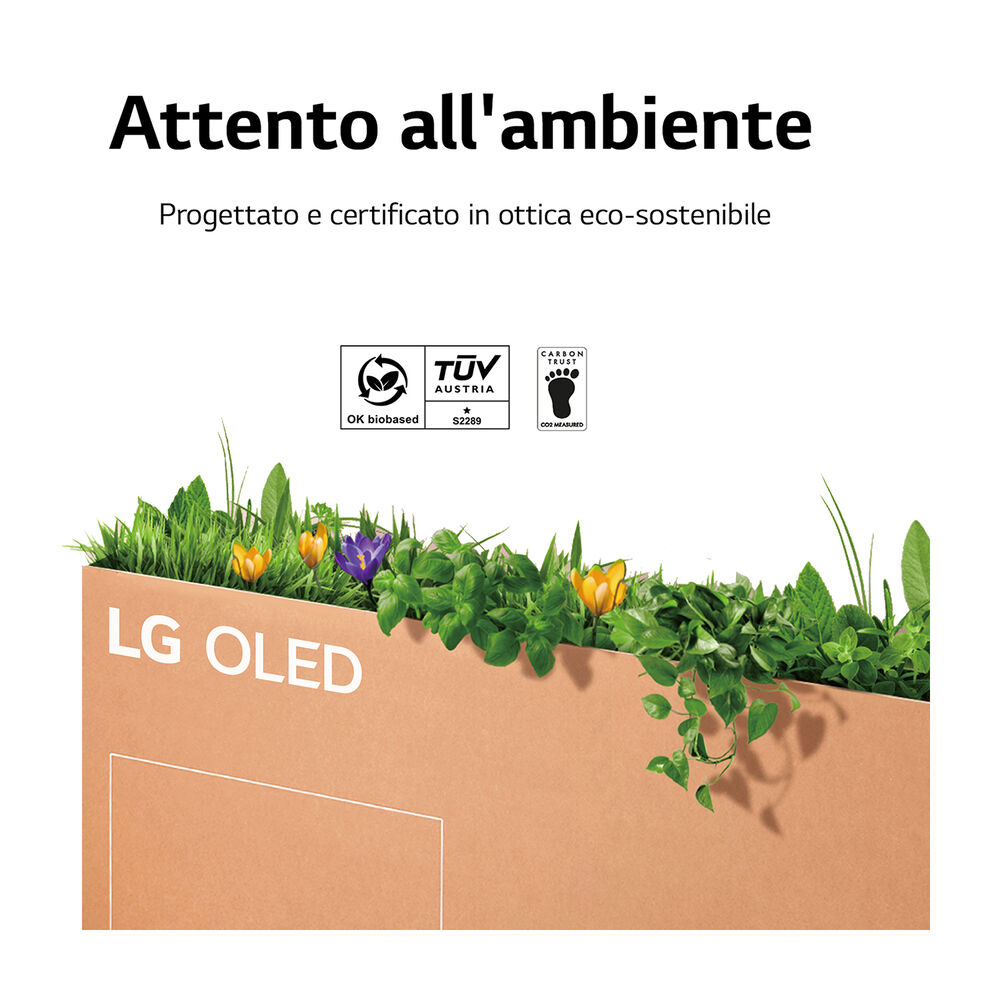 OLED evo OLED77C26LD 2022 TV OLED, 77 pollici, OLED 4K, No, image number 9