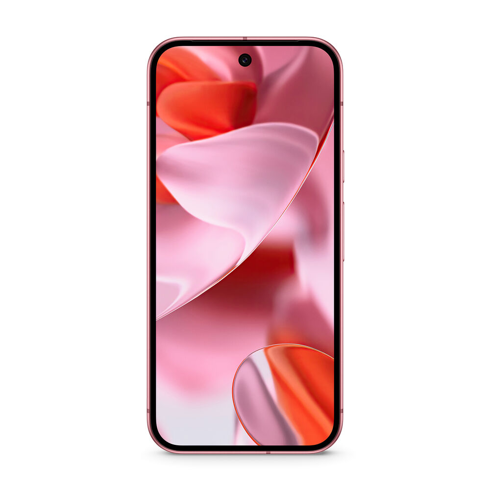Pixel 9 256GB, image number 1